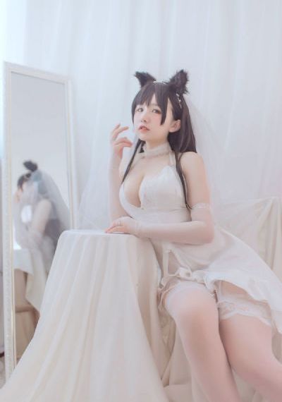 玫瑰的故事电视剧多少集