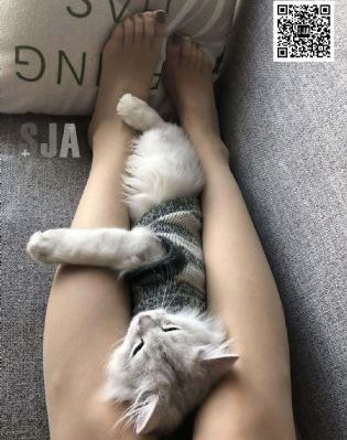 好什么免费视频直播