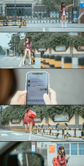 雏菊在线观看