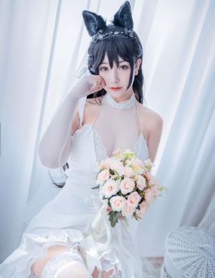 花蝴蝶免费版6集大全多少集88044