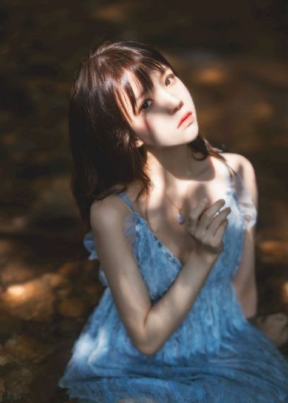 一级免费在线观看