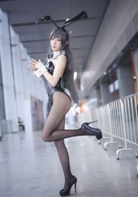 噼里啪啦在线看