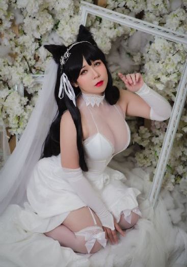 电视剧山花烂漫时