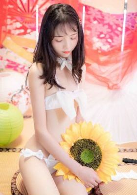 铁甲钢拳